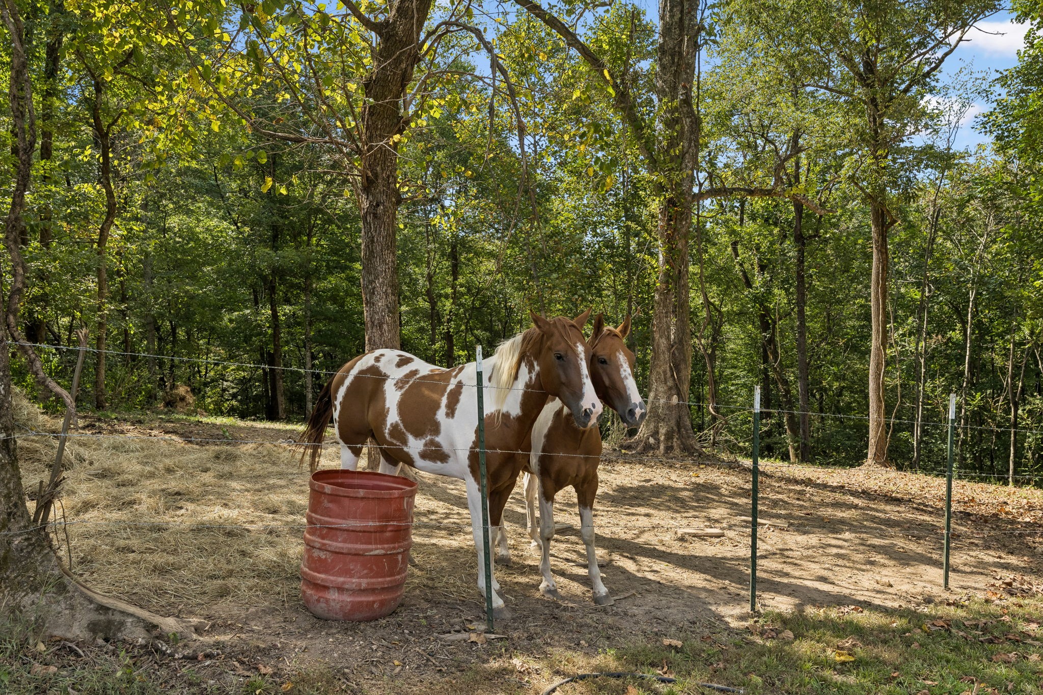 837 Womble Ridge Rd Property Photo 40