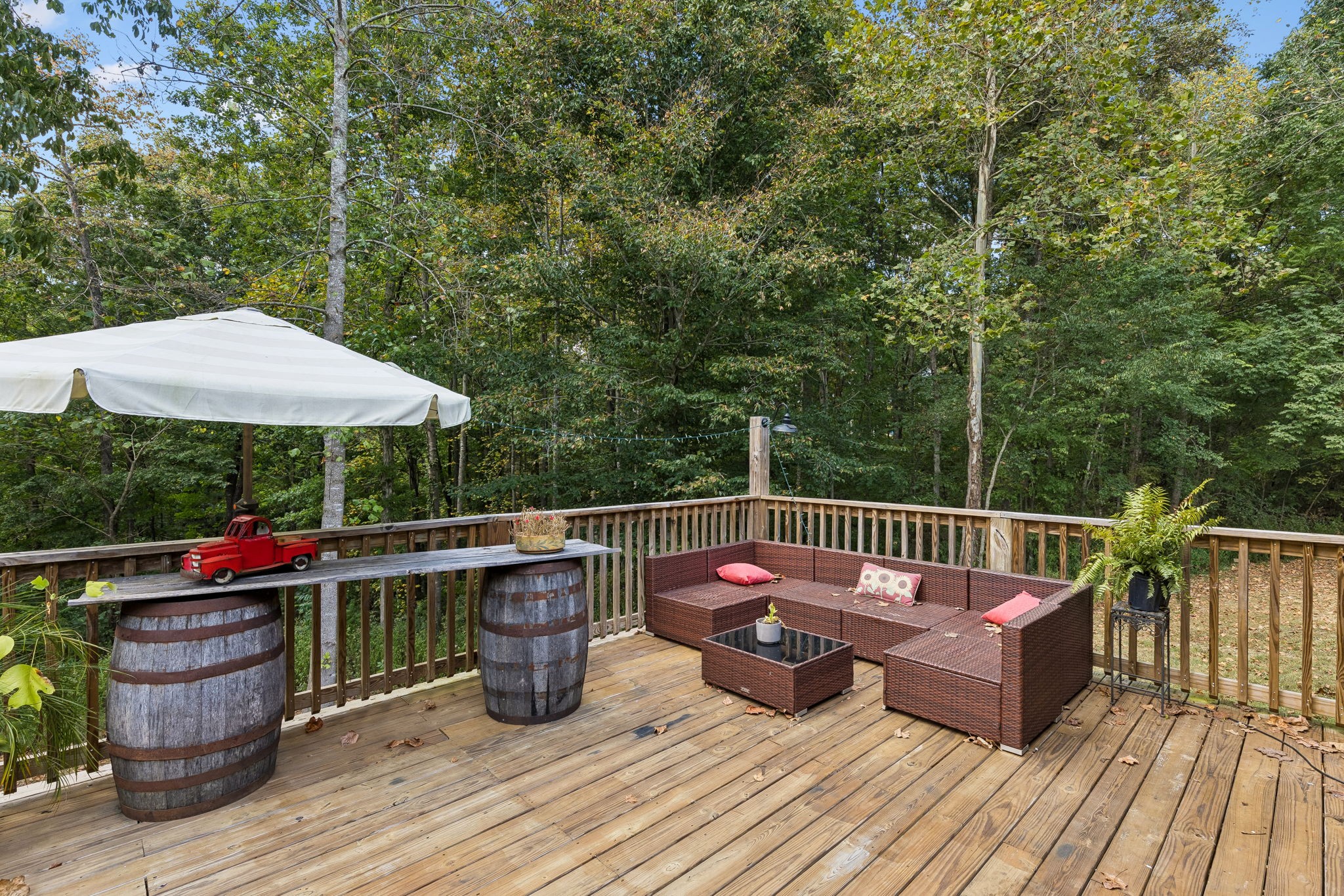 837 Womble Ridge Rd Property Photo 41