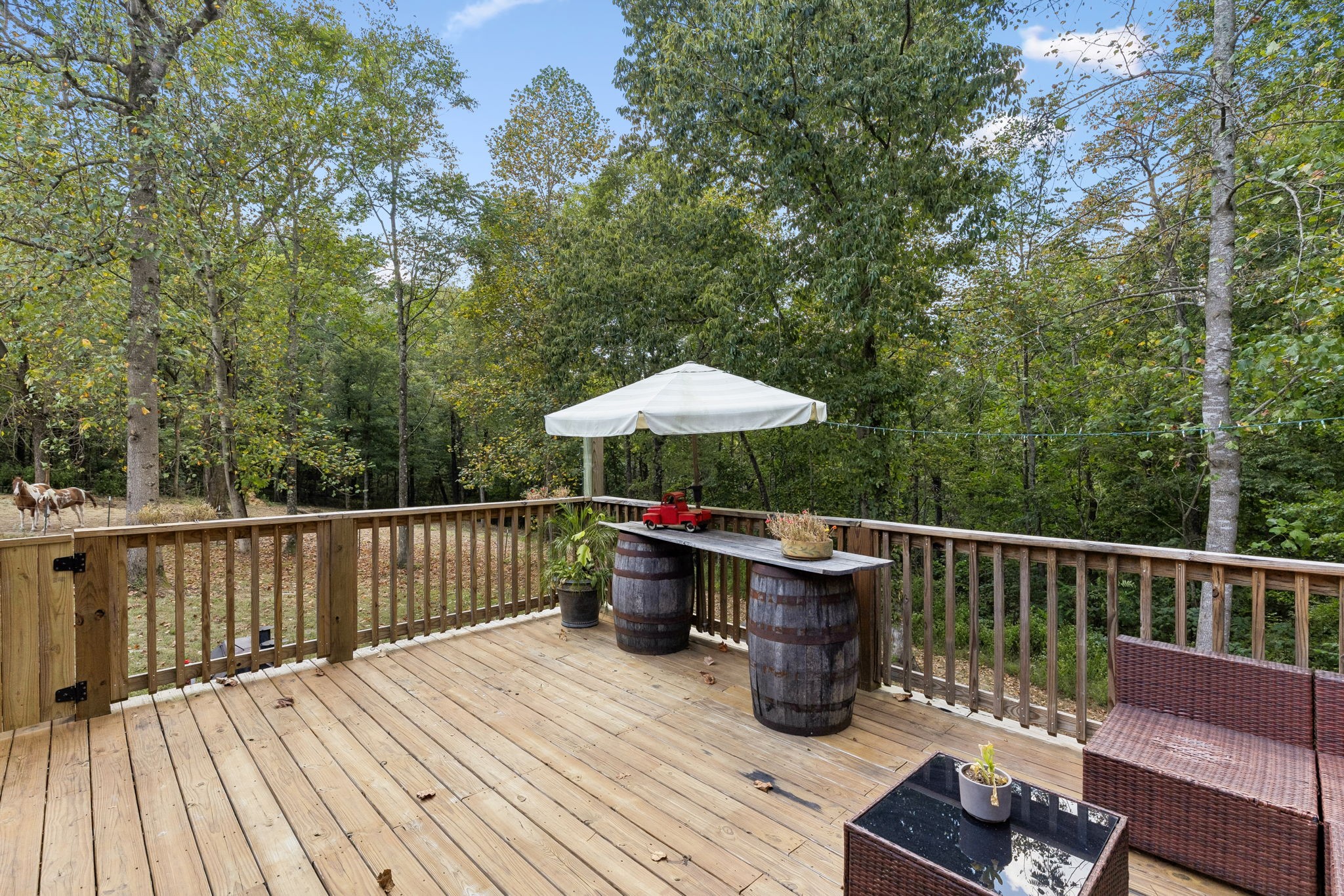837 Womble Ridge Rd Property Photo 42