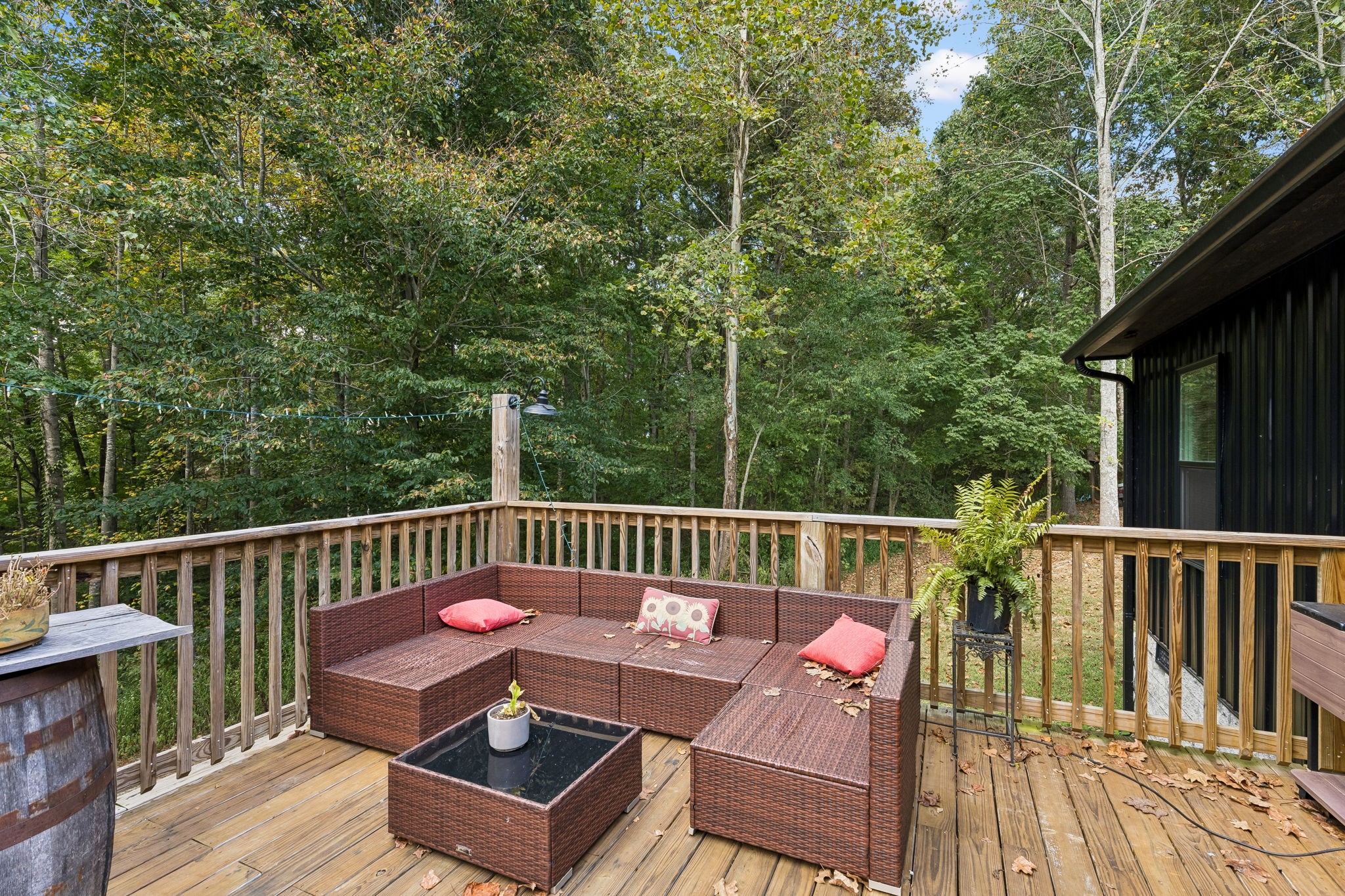 837 Womble Ridge Rd Property Photo 43