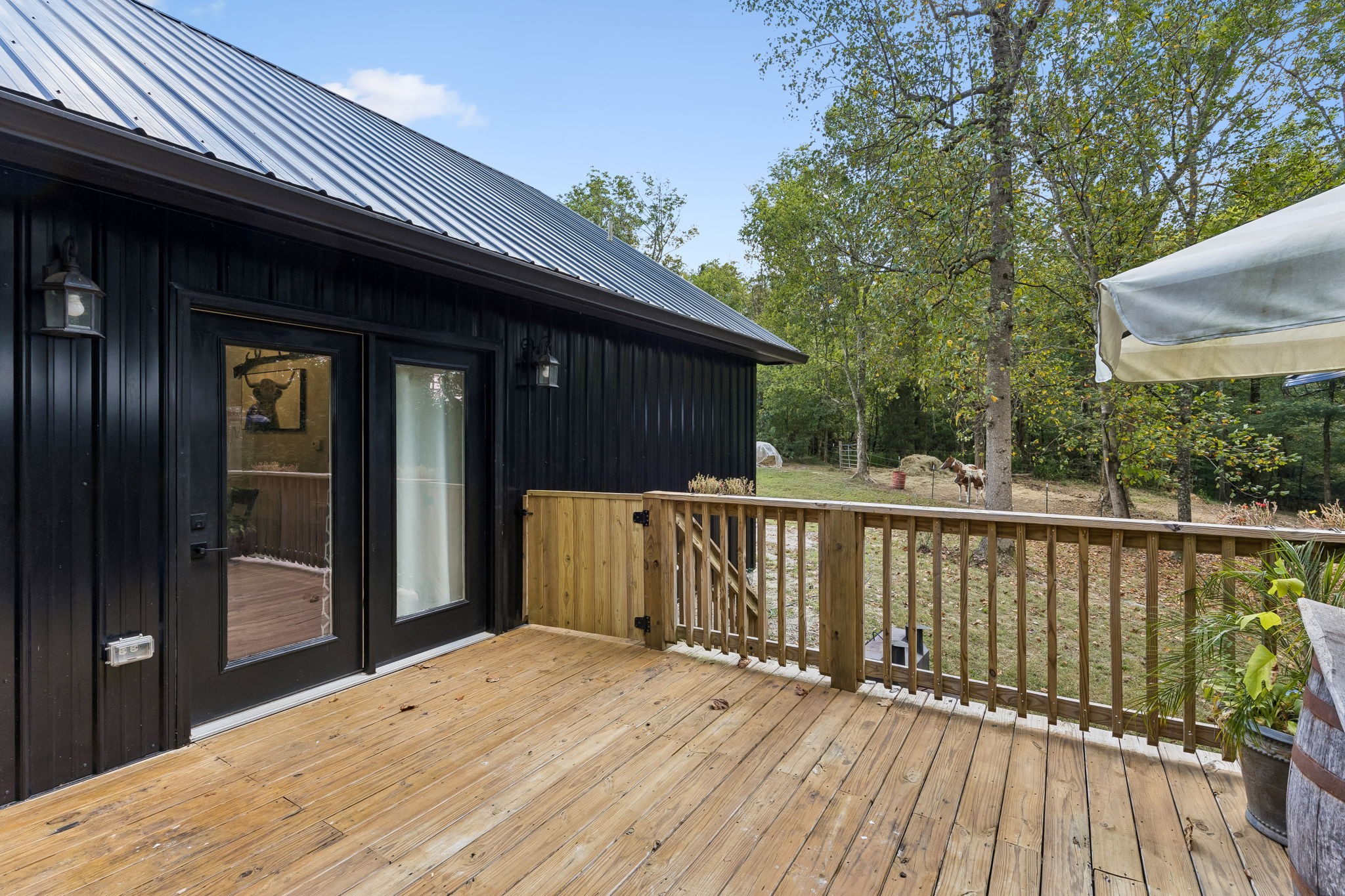 837 Womble Ridge Rd Property Photo 44