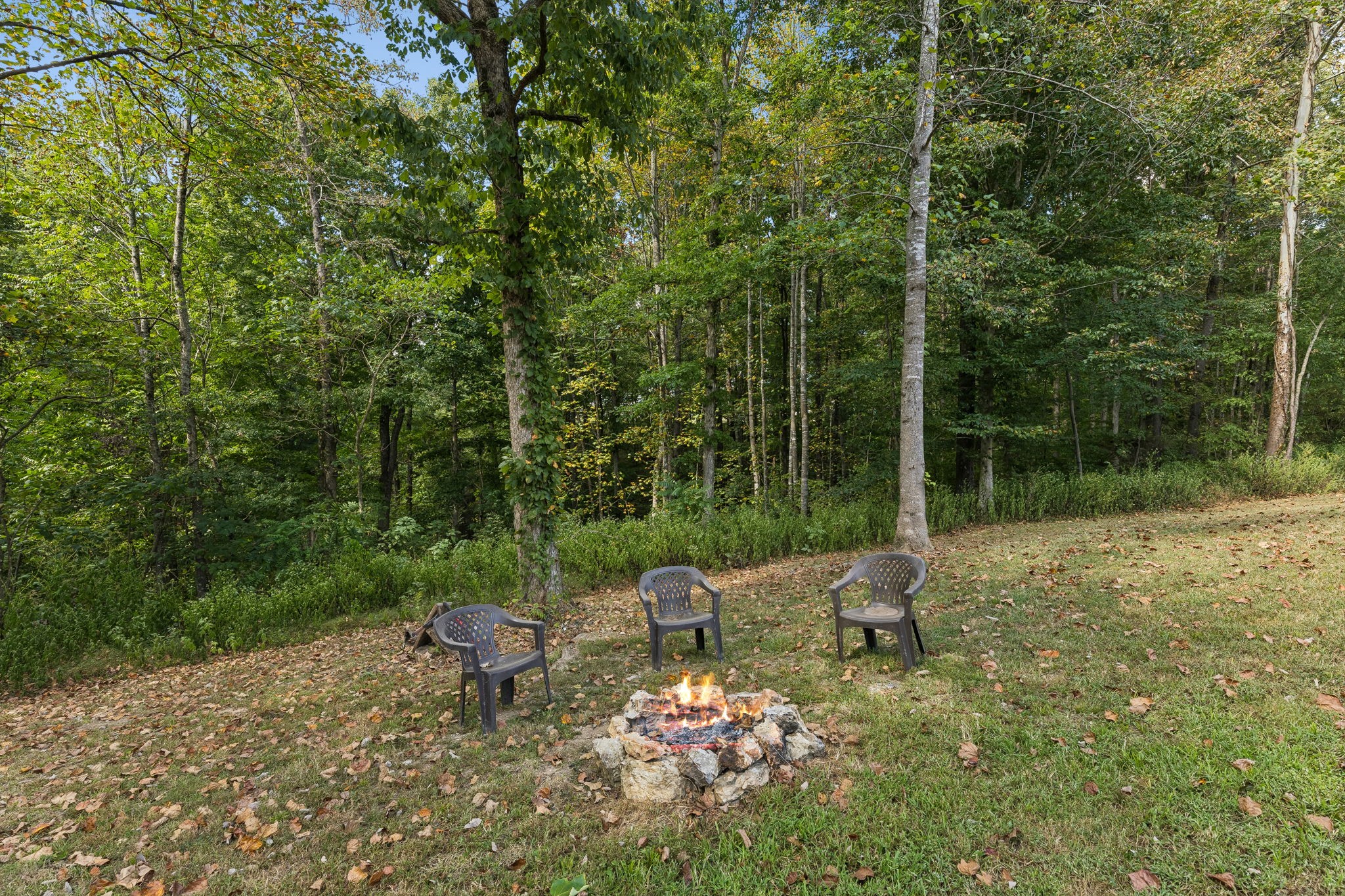 837 Womble Ridge Rd Property Photo 46
