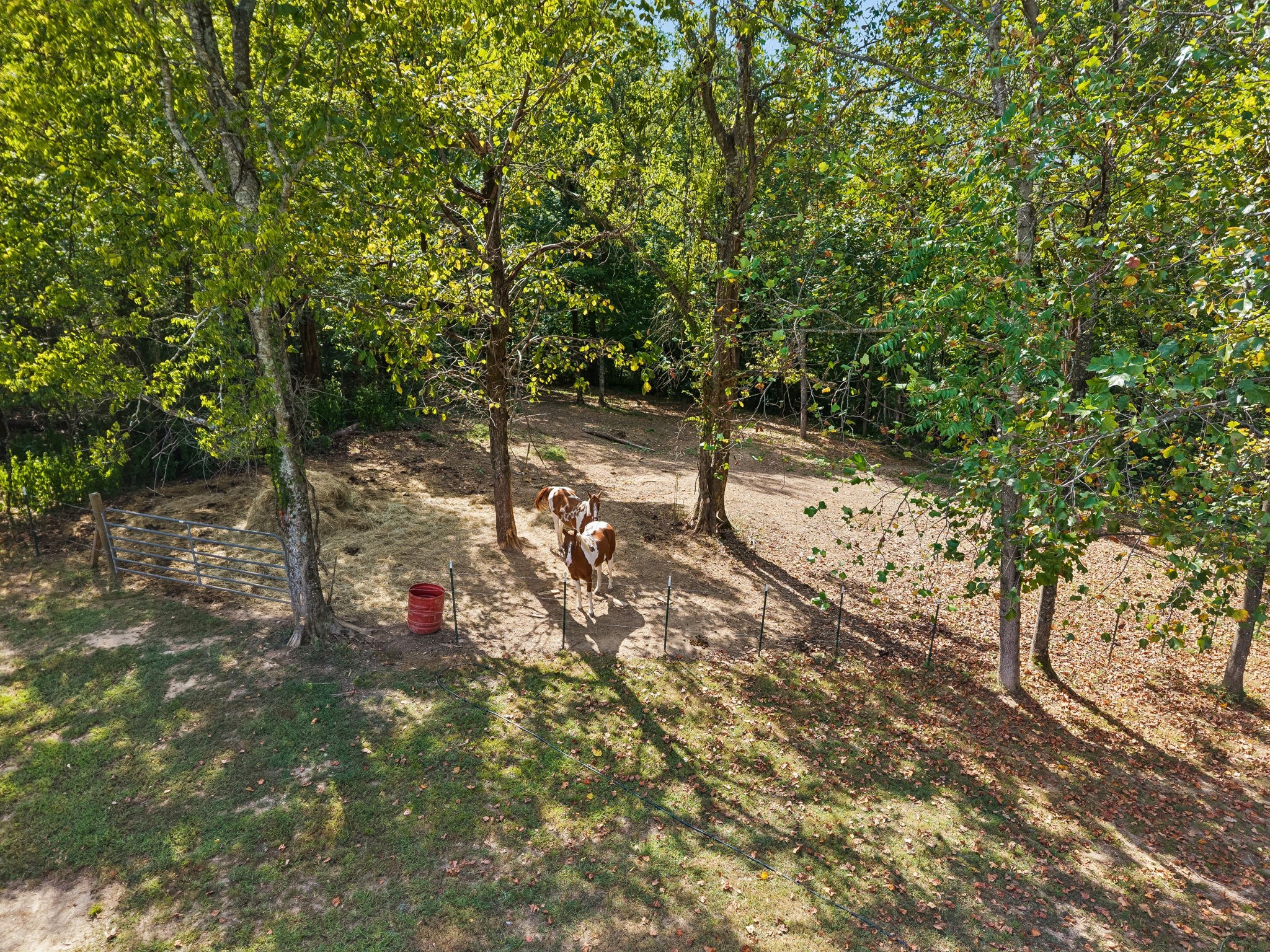 837 Womble Ridge Rd Property Photo 57