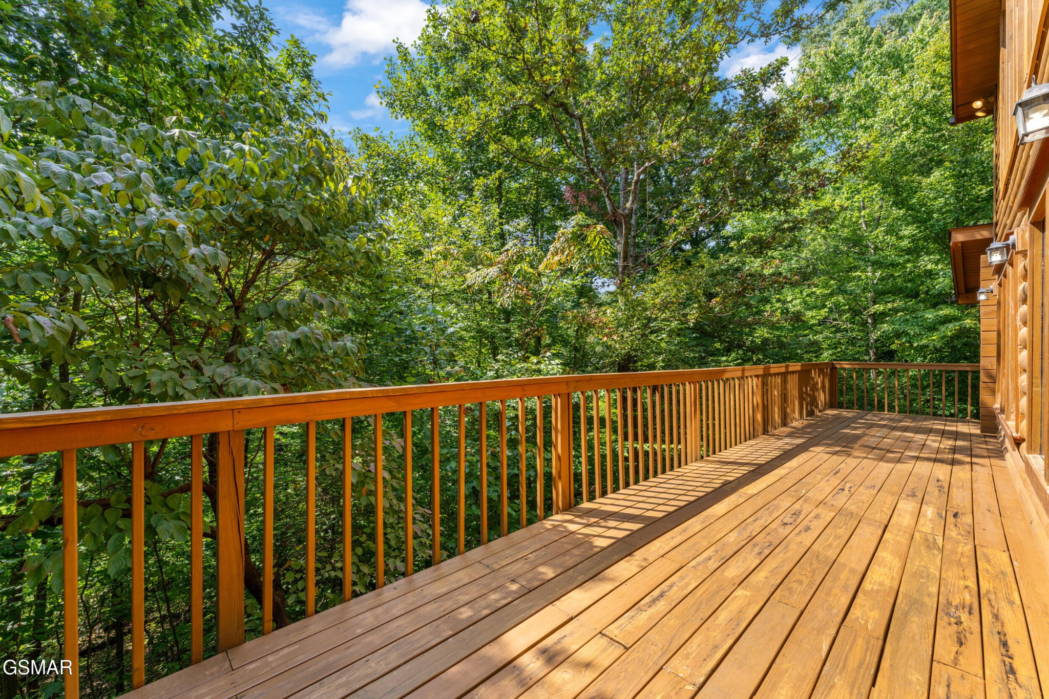 3839 Saddle Brook Way Property Photo 45