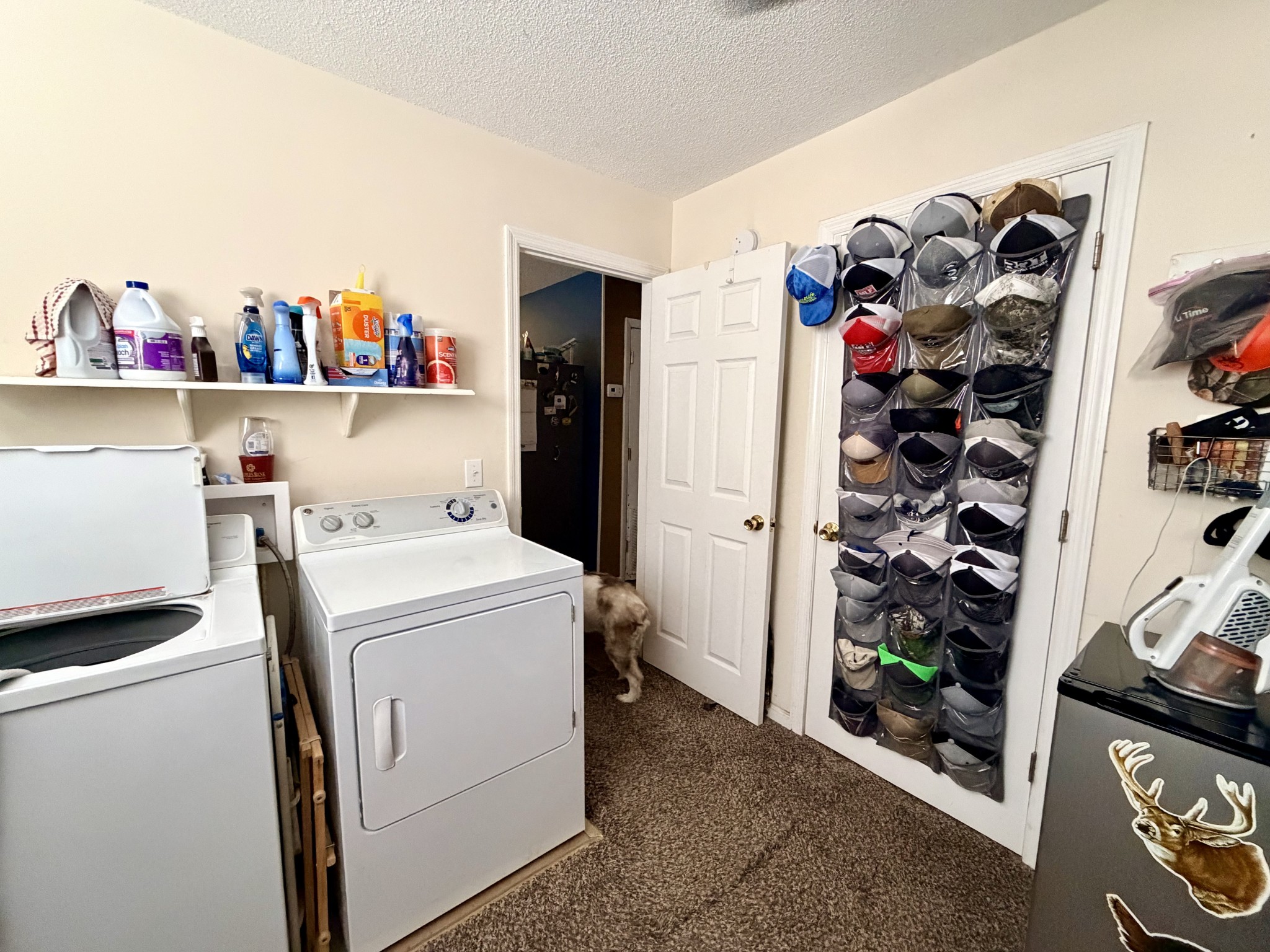 705 Oak St Property Photo 7