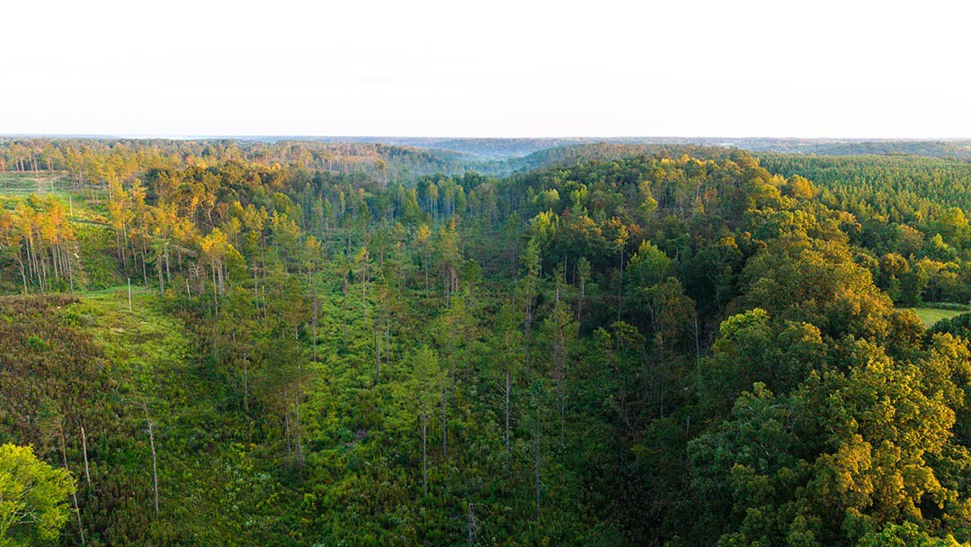 0 Second Creek Road Property Photo 6