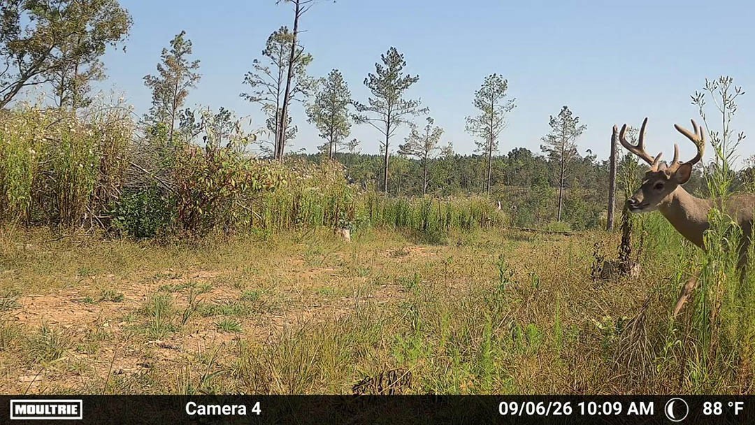 0 Second Creek Road Property Photo 8