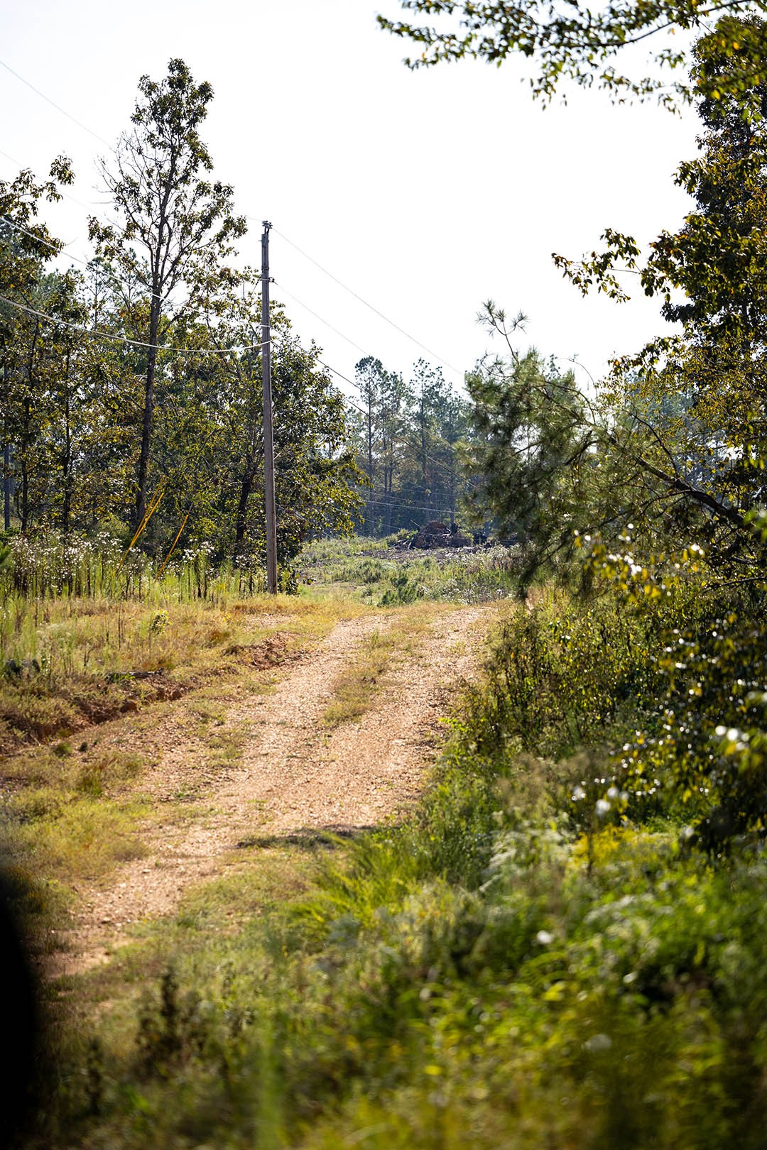 0 Second Creek Road Property Photo 11