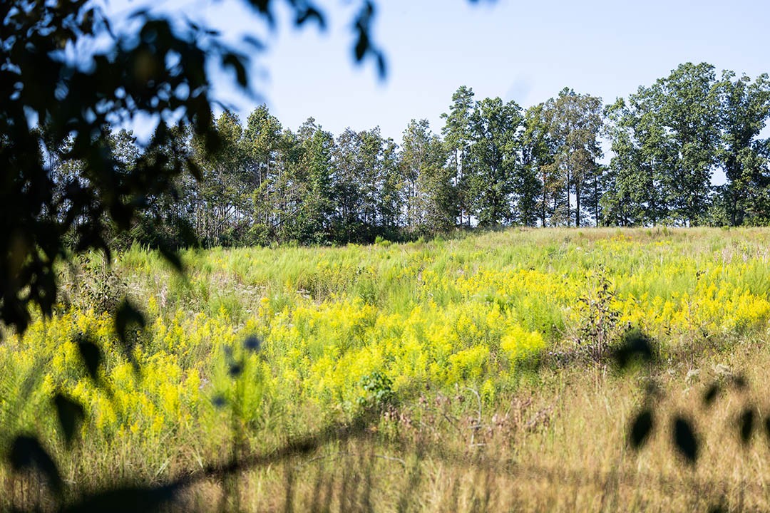 0 Second Creek Road Property Photo 13