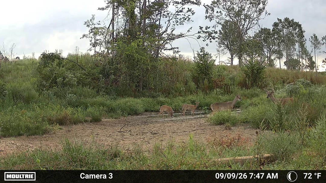 0 Second Creek Road Property Photo 23