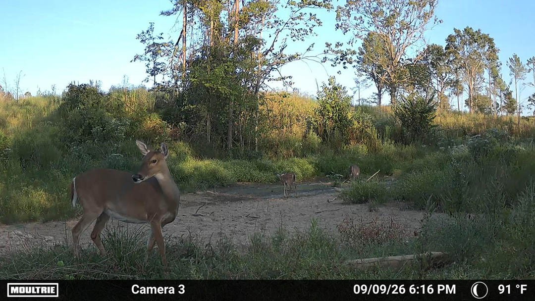 0 Second Creek Road Property Photo 24