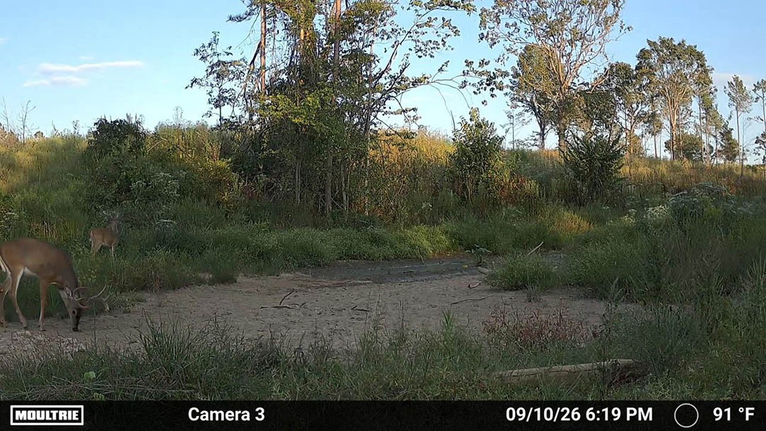 0 Second Creek Road Property Photo 25