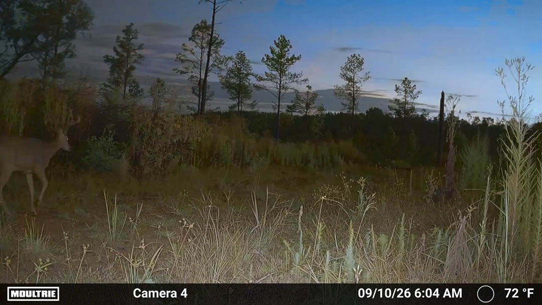 0 Second Creek Road Property Photo 26