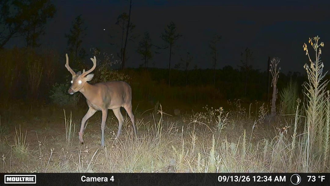 0 Second Creek Road Property Photo 27
