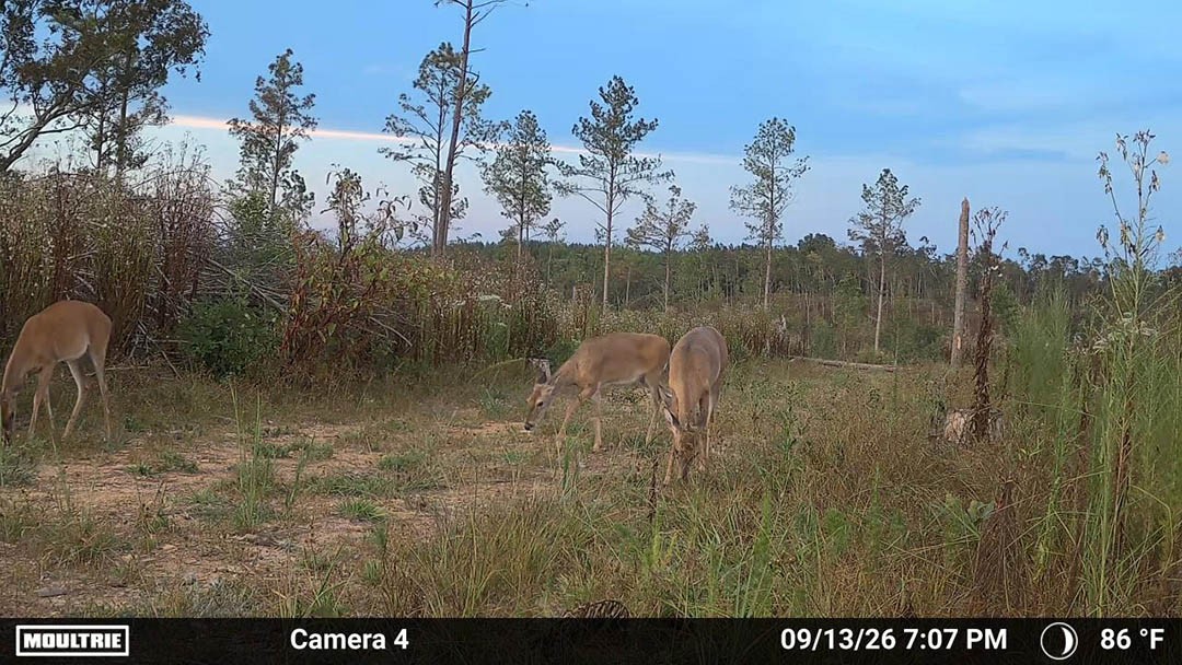 0 Second Creek Road Property Photo 28