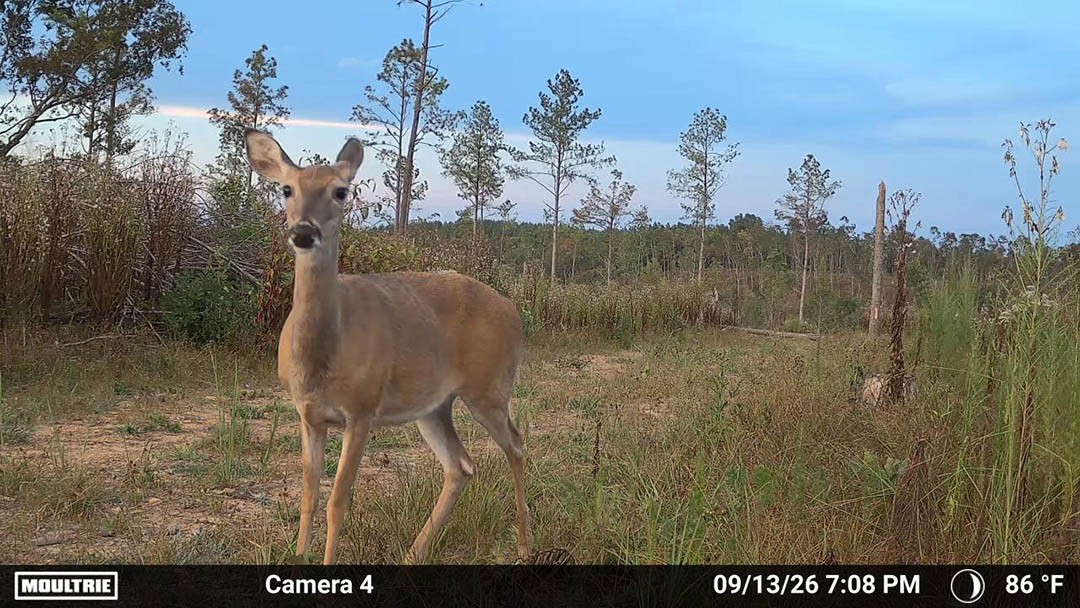 0 Second Creek Road Property Photo 29