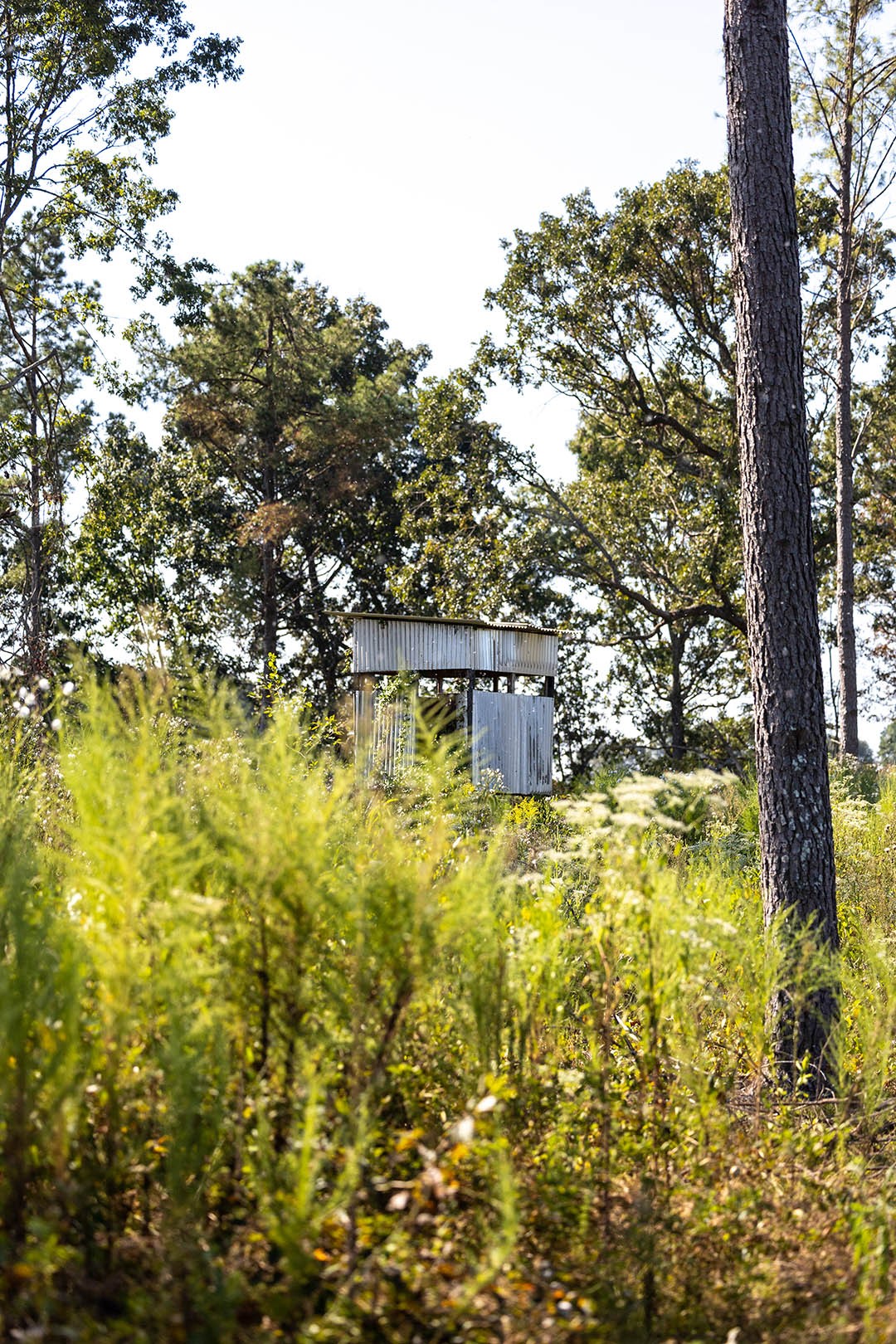 0 Second Creek Road Property Photo 41