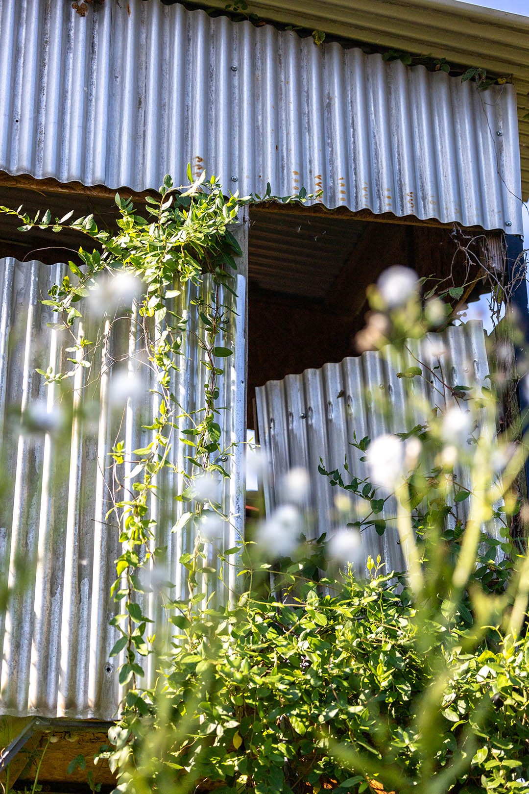 0 Second Creek Road Property Photo 43