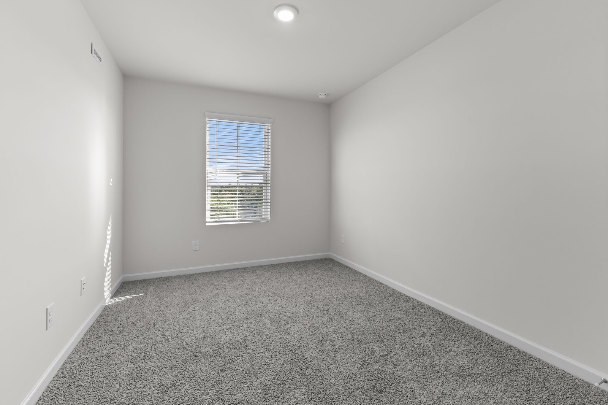 5025 Dayflower Drive Property Photo 15