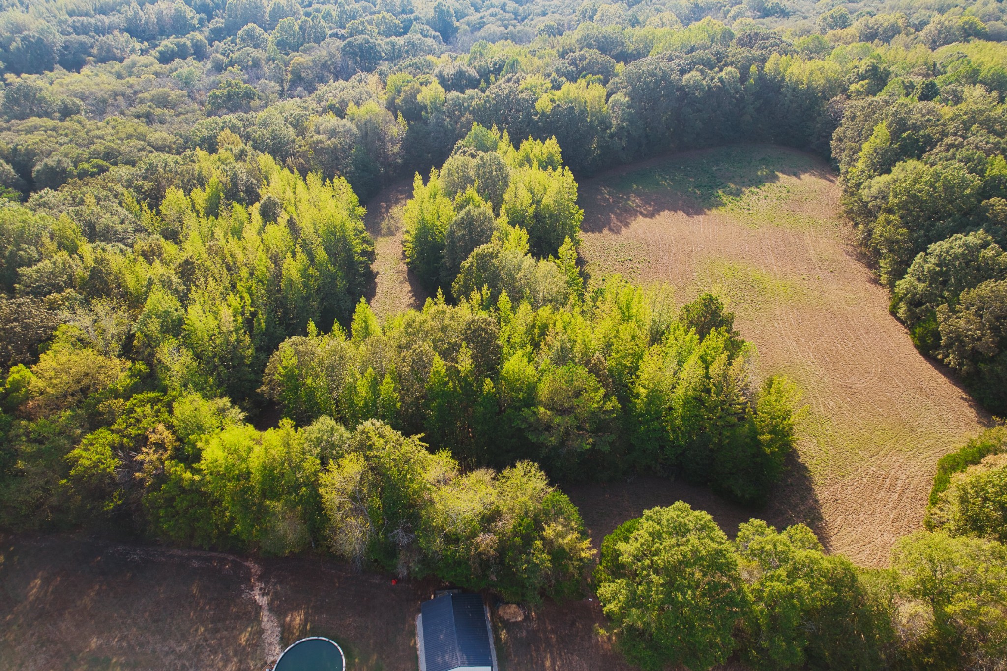 0 Cedar Brook Property Photo 1