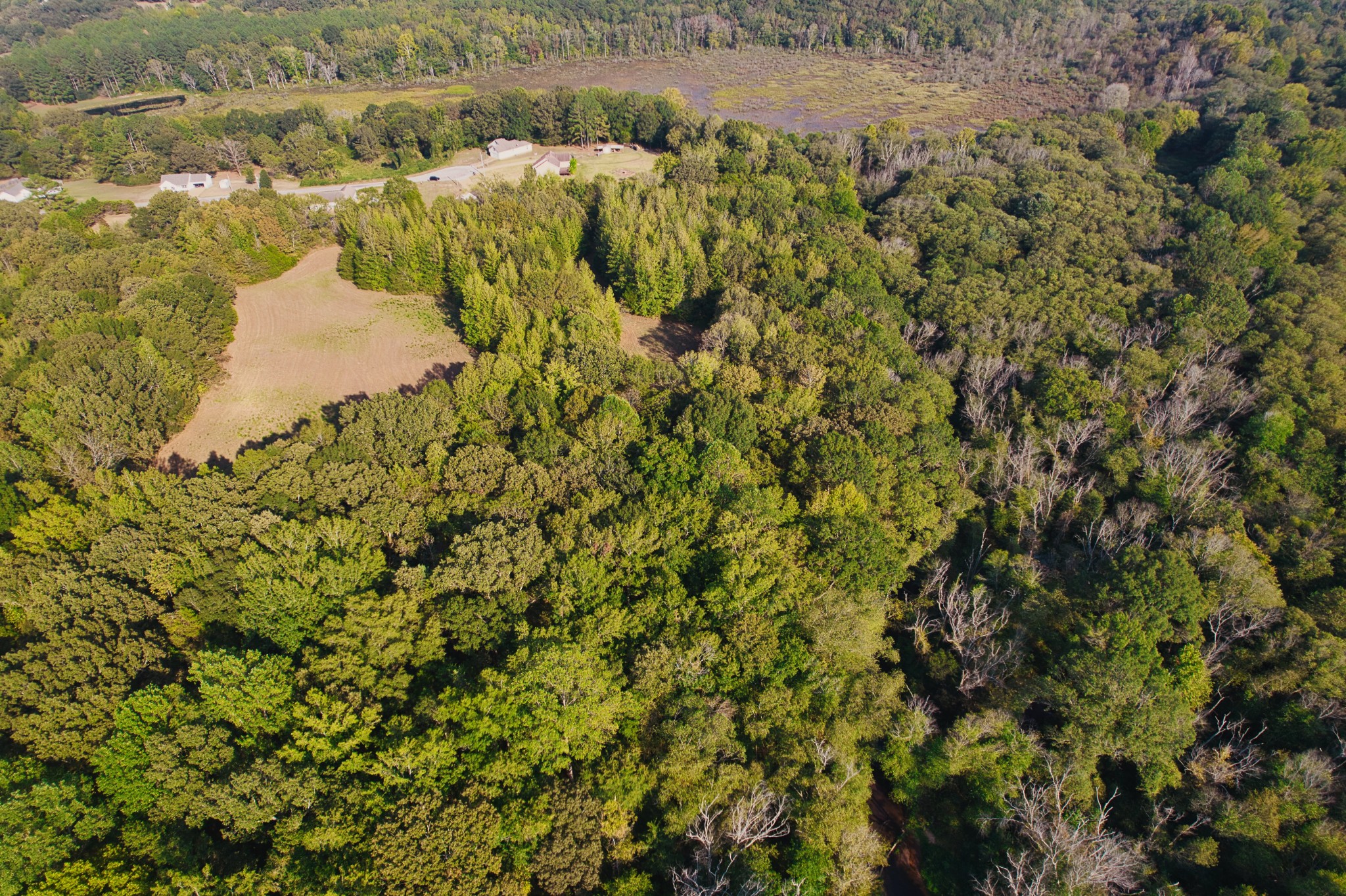 0 Cedar Brook Property Photo 3