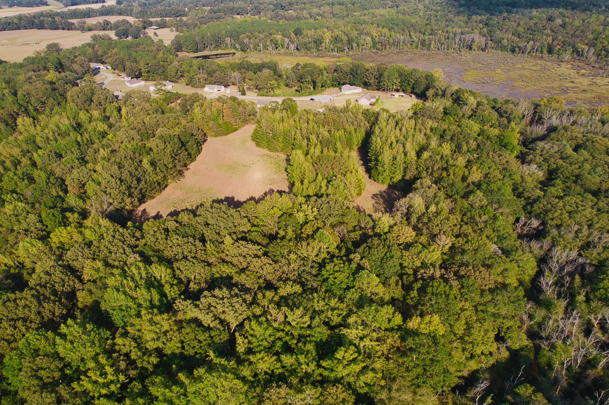 0 Cedar Brook Property Photo 4