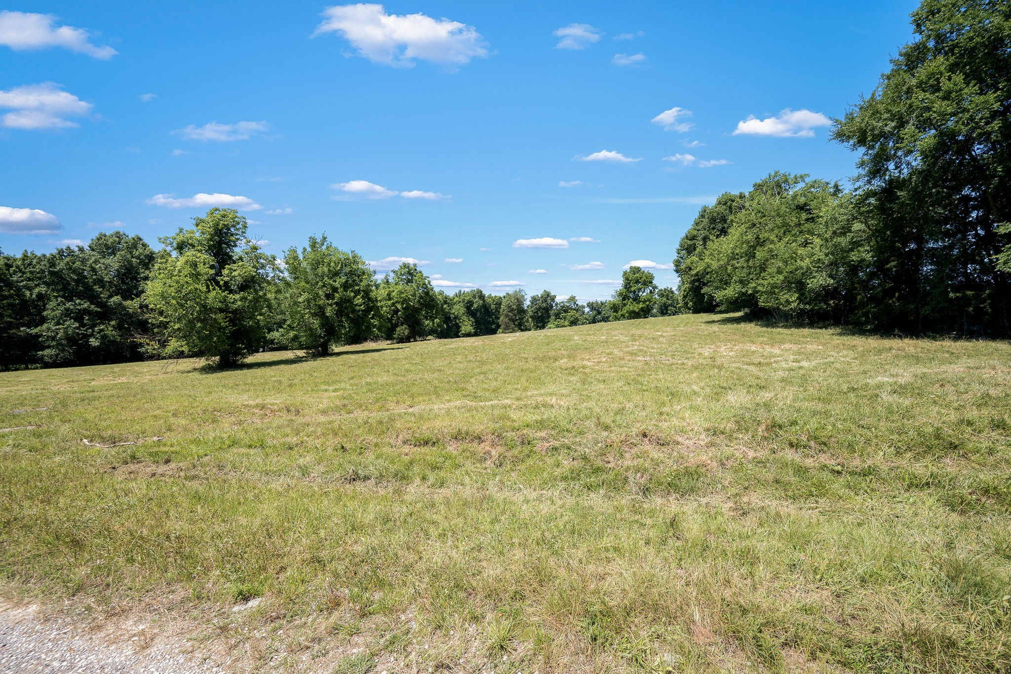 505 Philippi Rd Property Photo 39