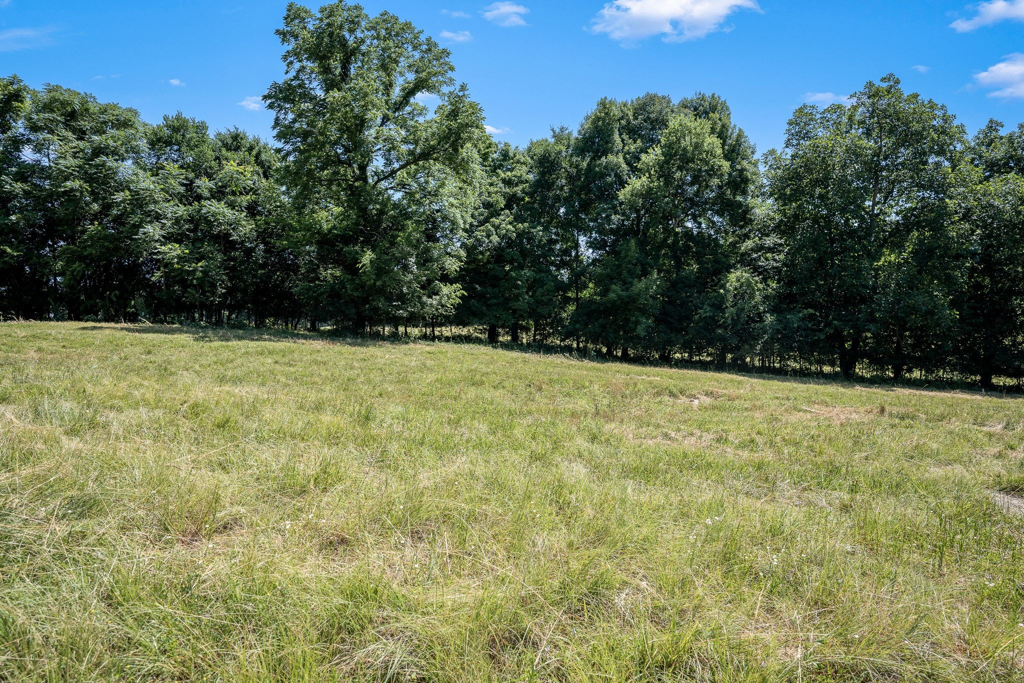505 Philippi Rd Property Photo 43