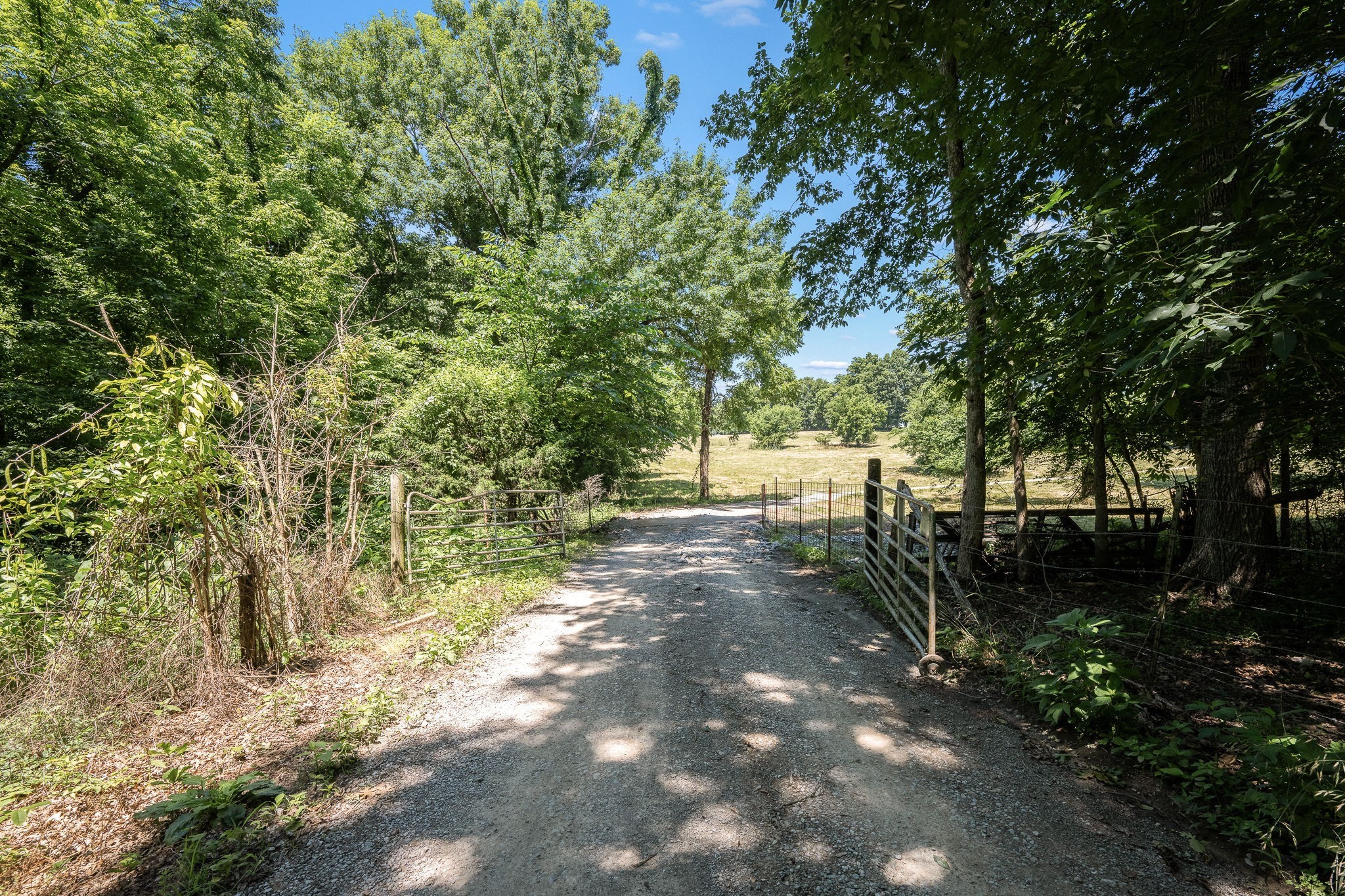 505 Philippi Rd Property Photo 44