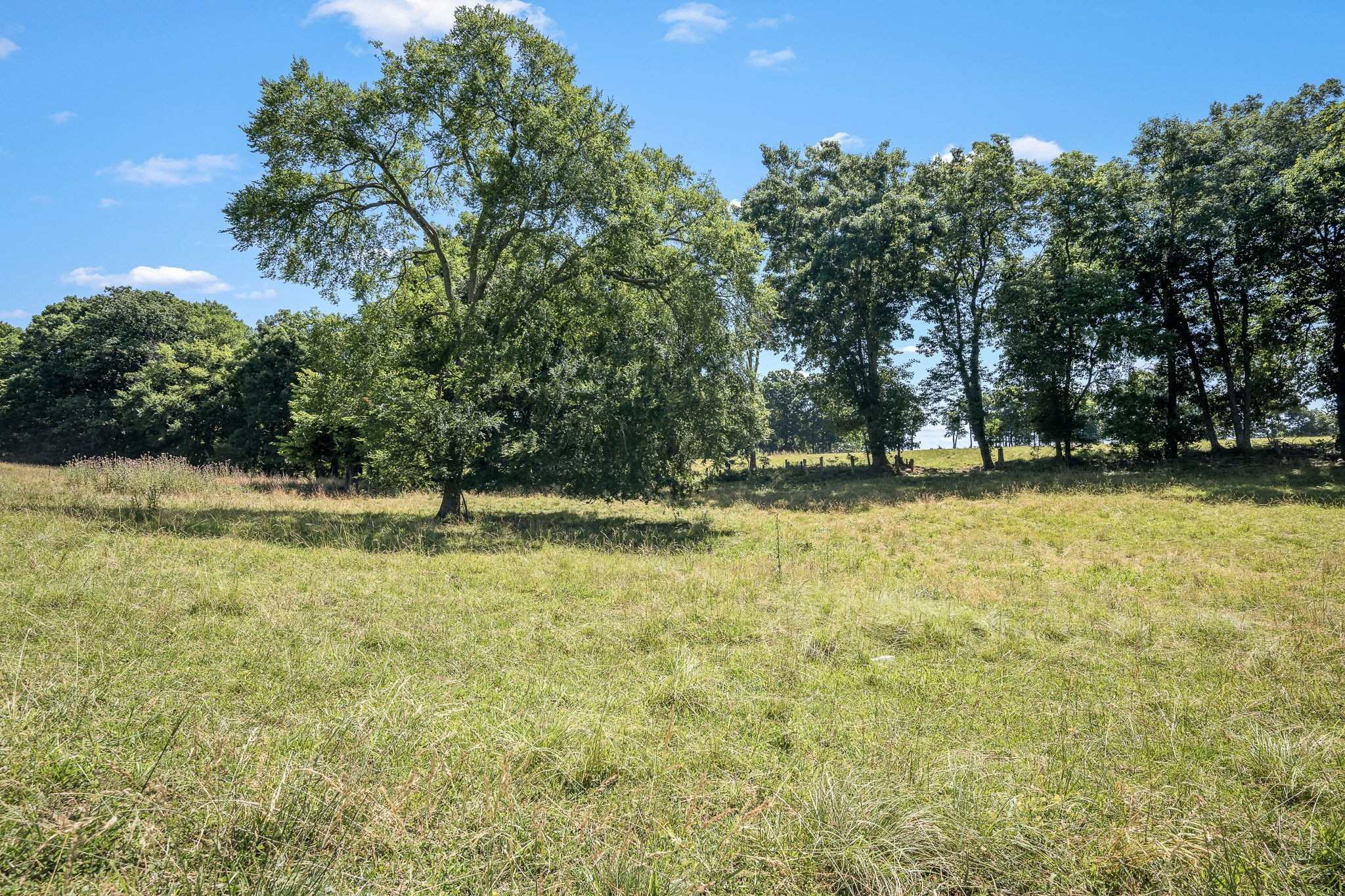 505 Philippi Rd Property Photo 47