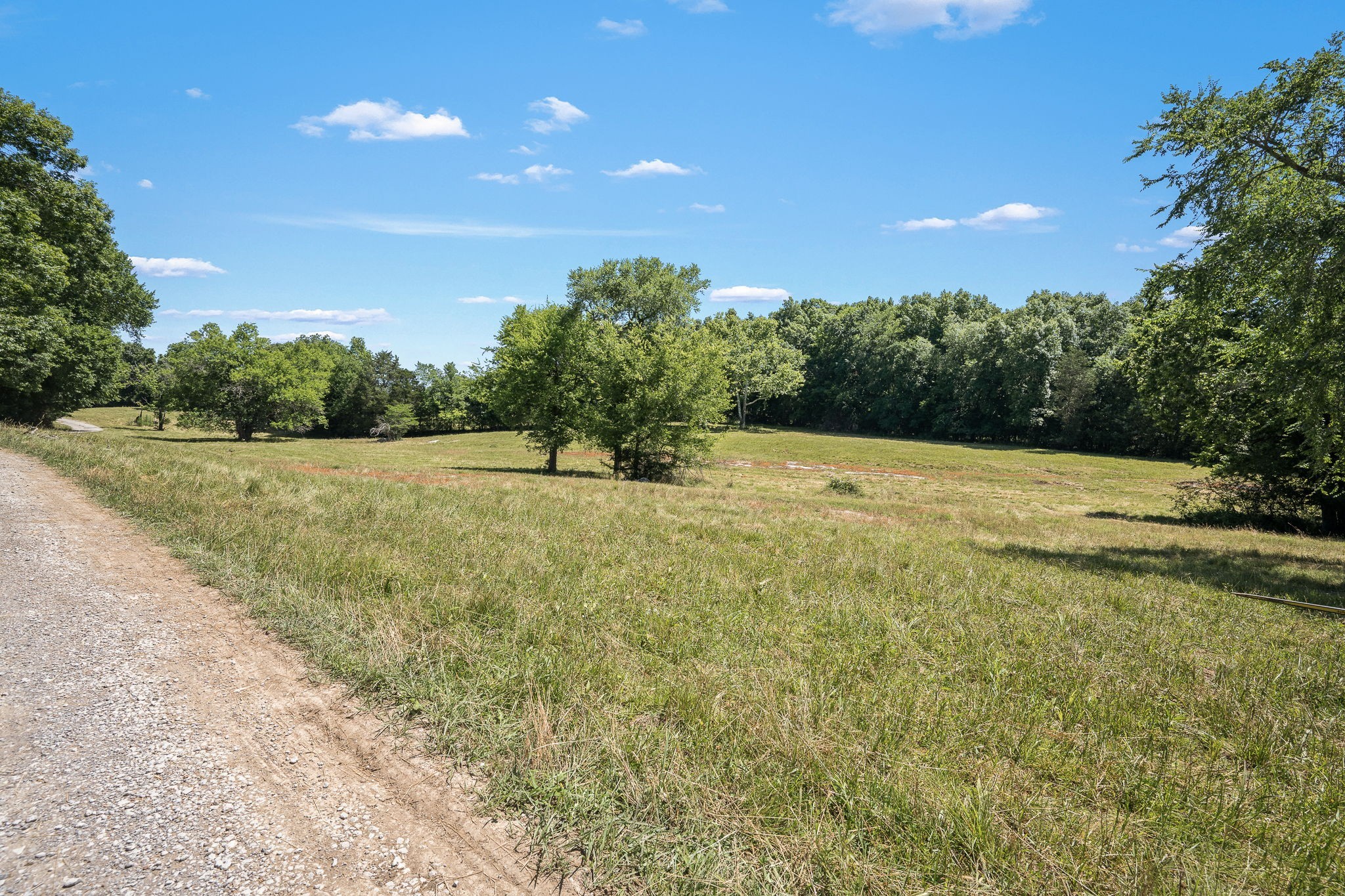 505 Philippi Rd Property Photo 51