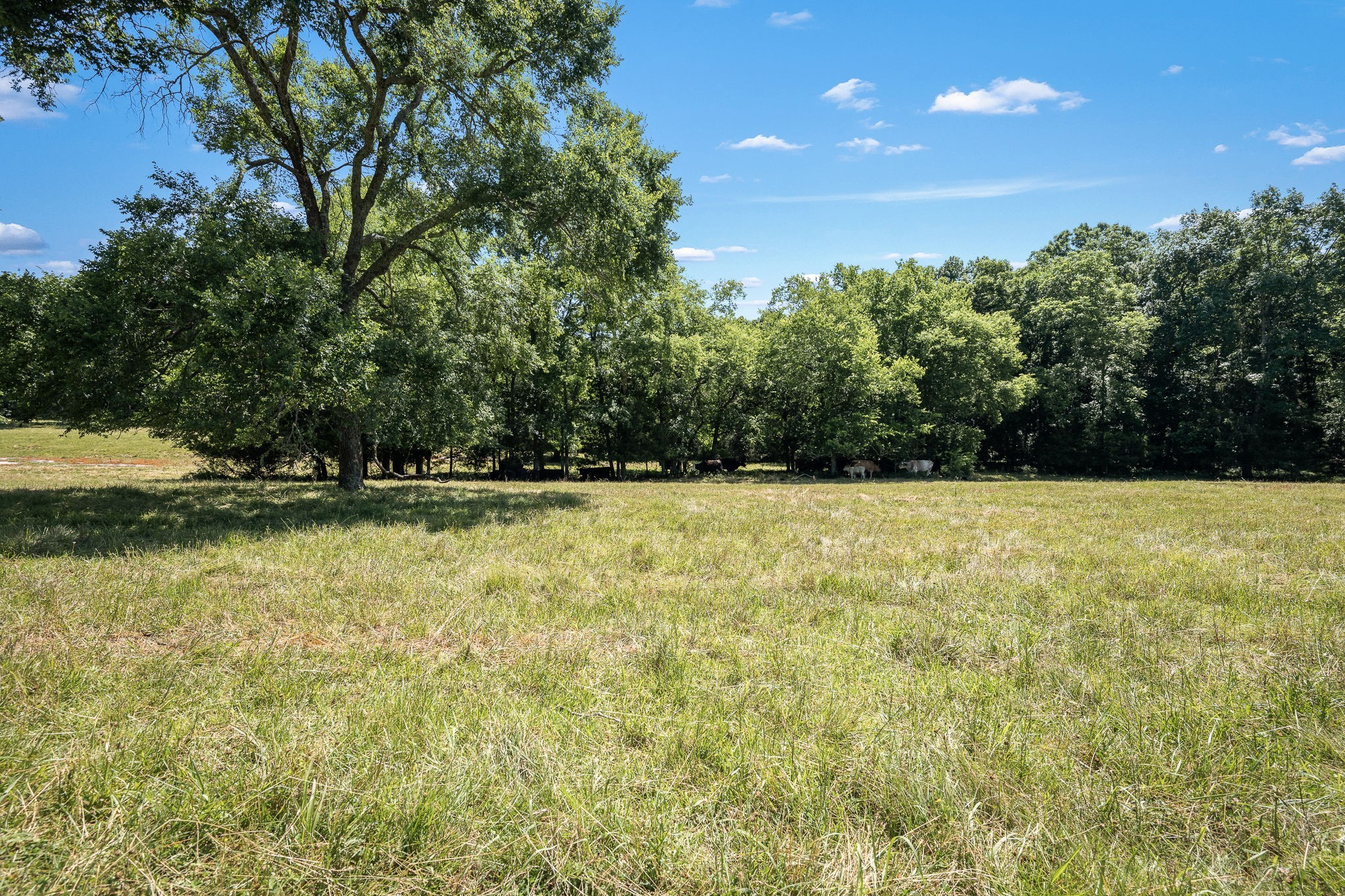 505 Philippi Rd Property Photo 53