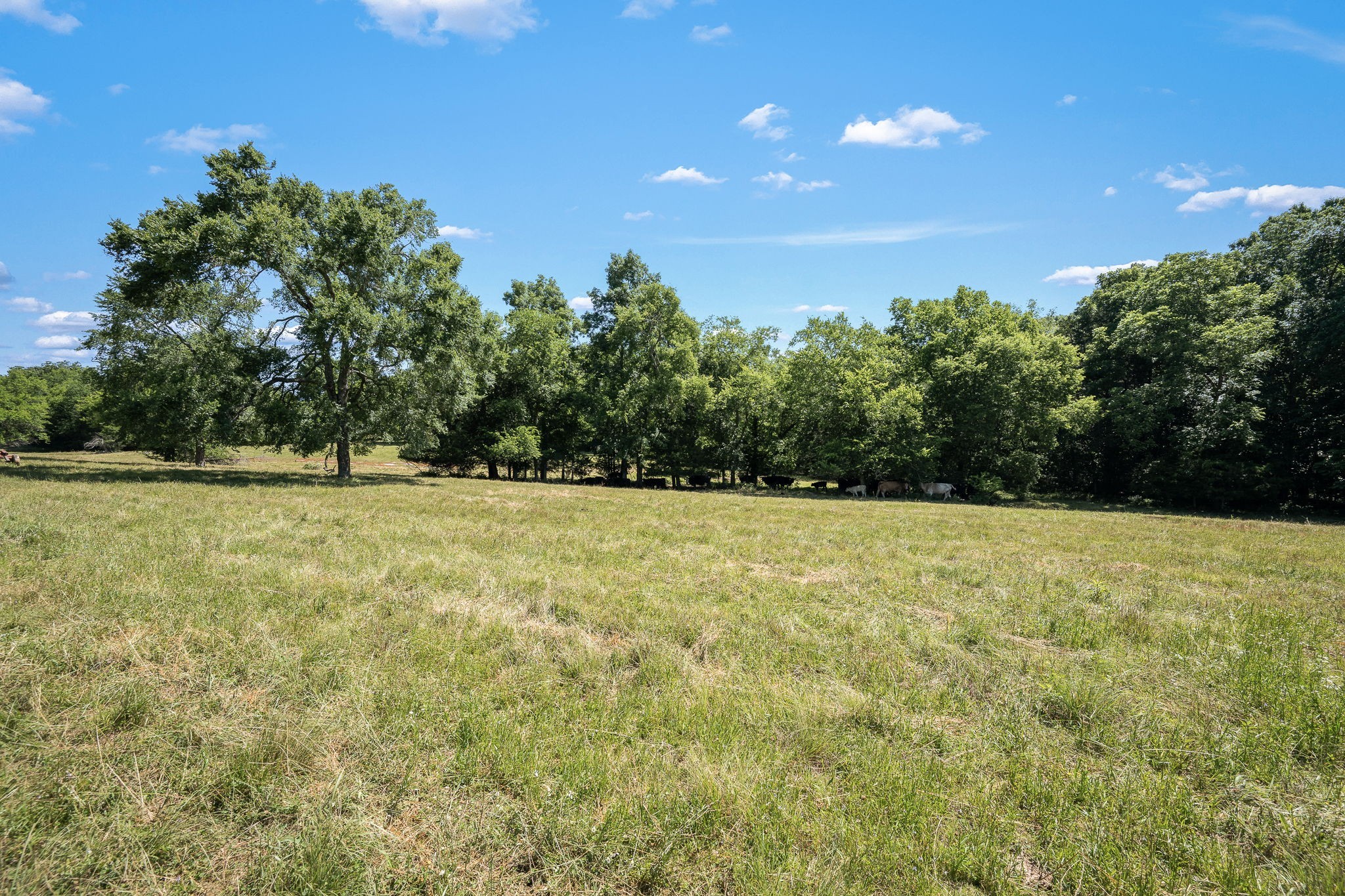 505 Philippi Rd Property Photo 54