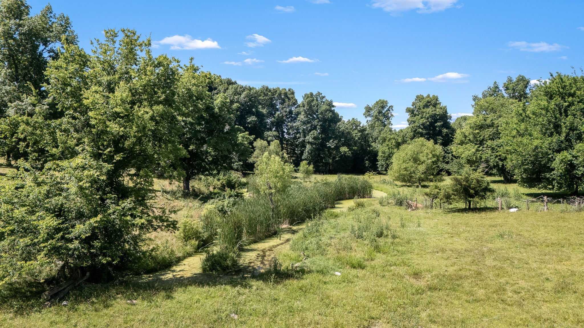 505 Philippi Rd Property Photo 59
