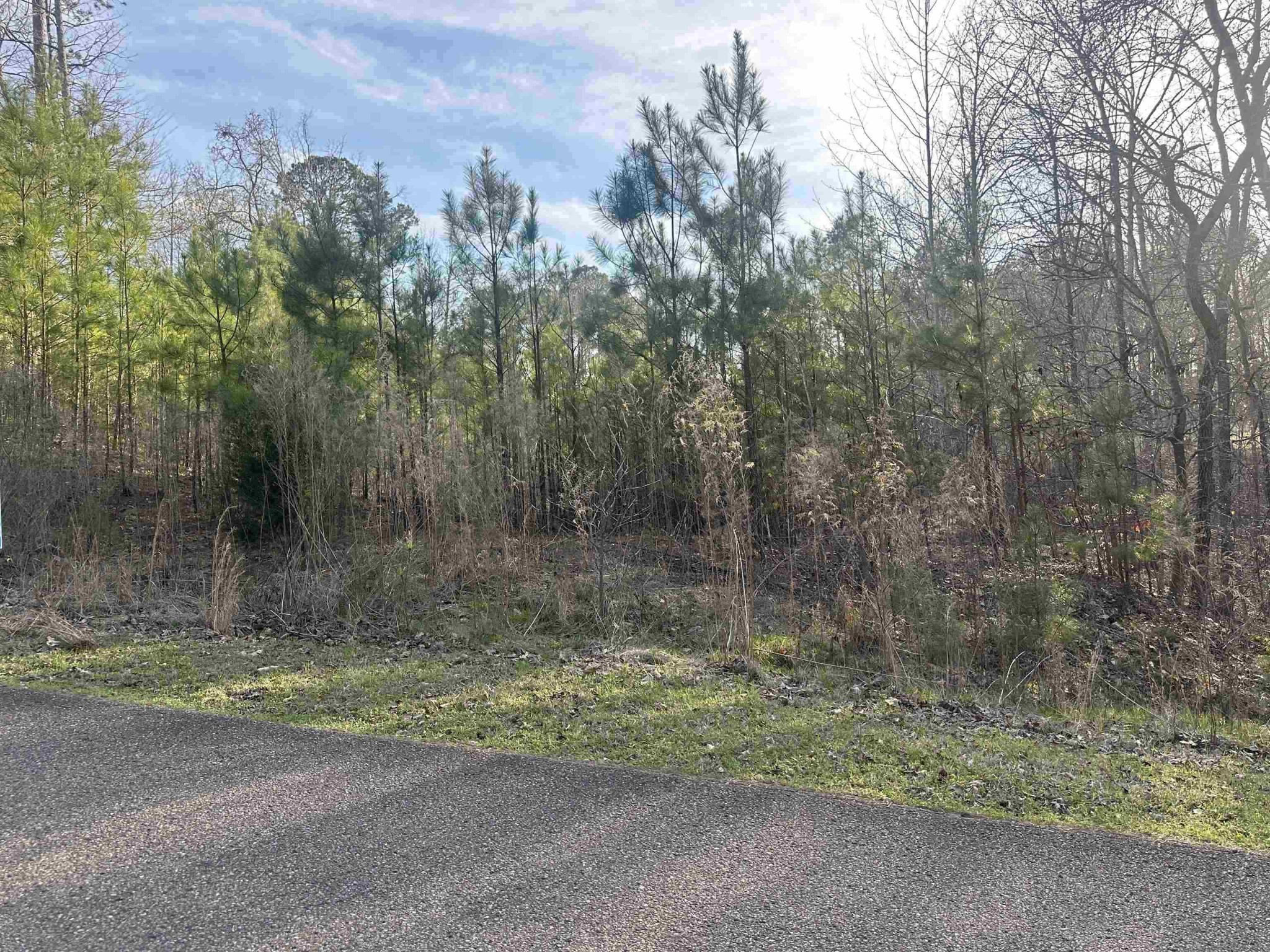0 Shiloh Falls Court Rd Property Photo 1