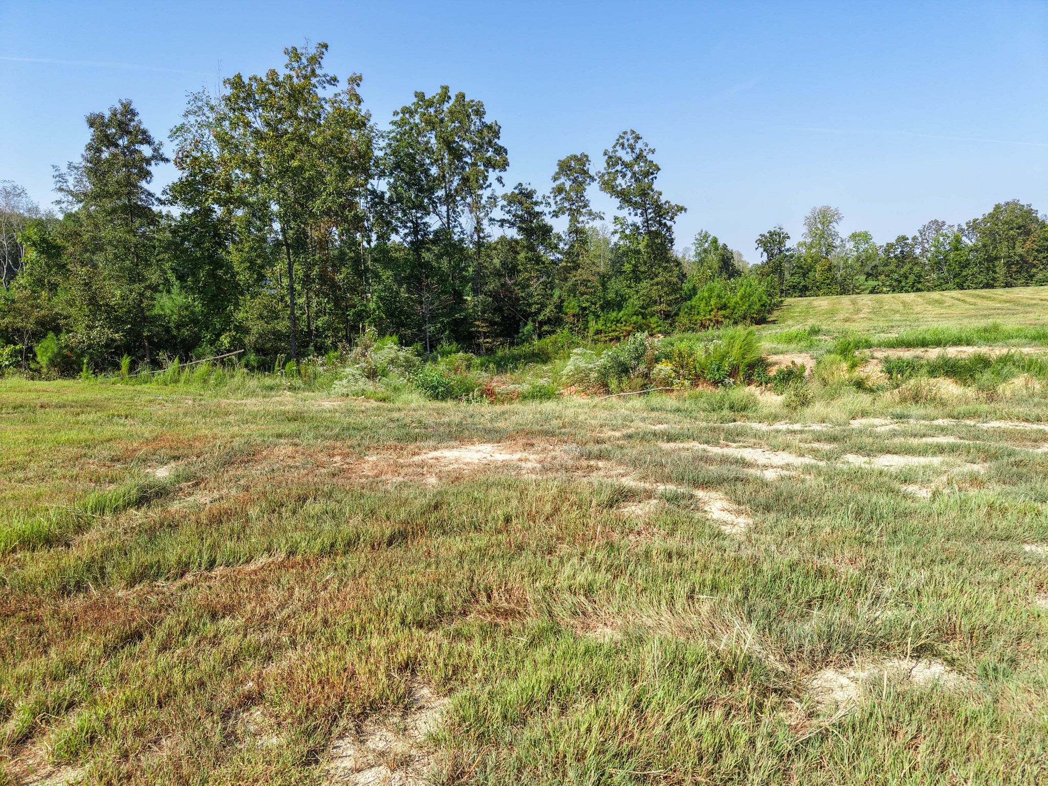 0 Bear Dr Property Photo 4