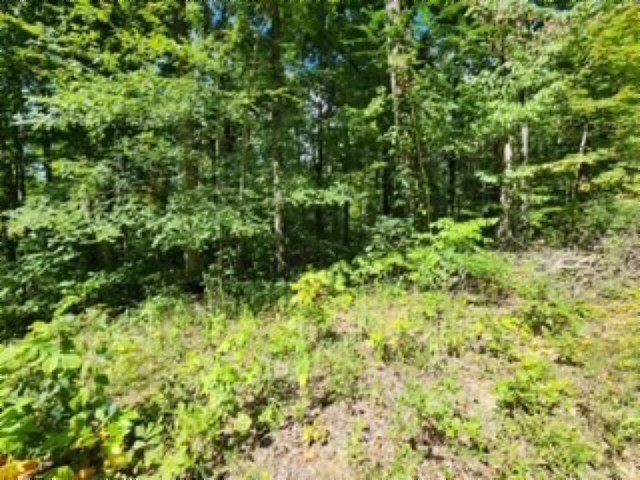 0 Tomahawk Rd Property Photo 13