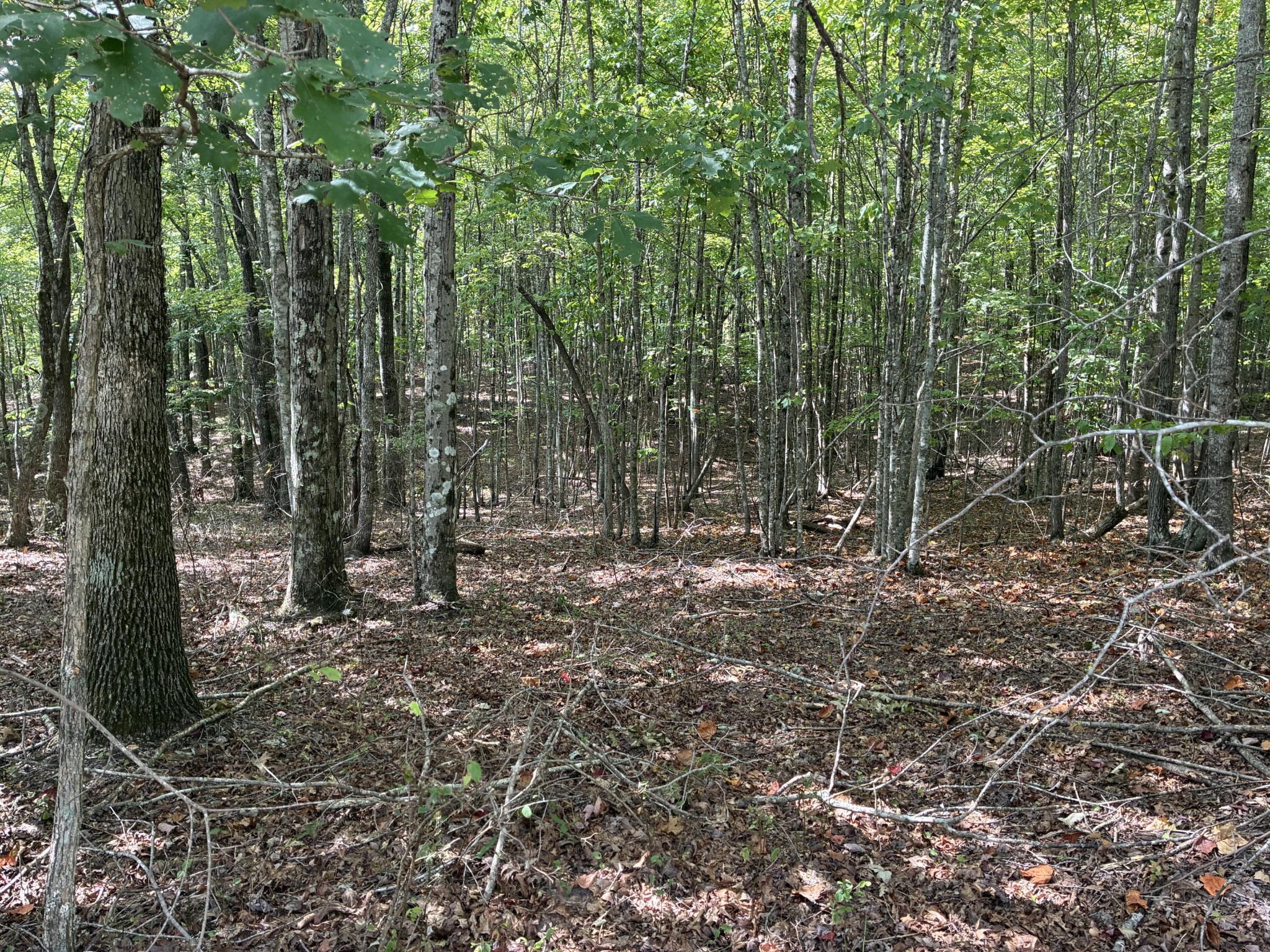0 2 Lake Trail Property Photo 1