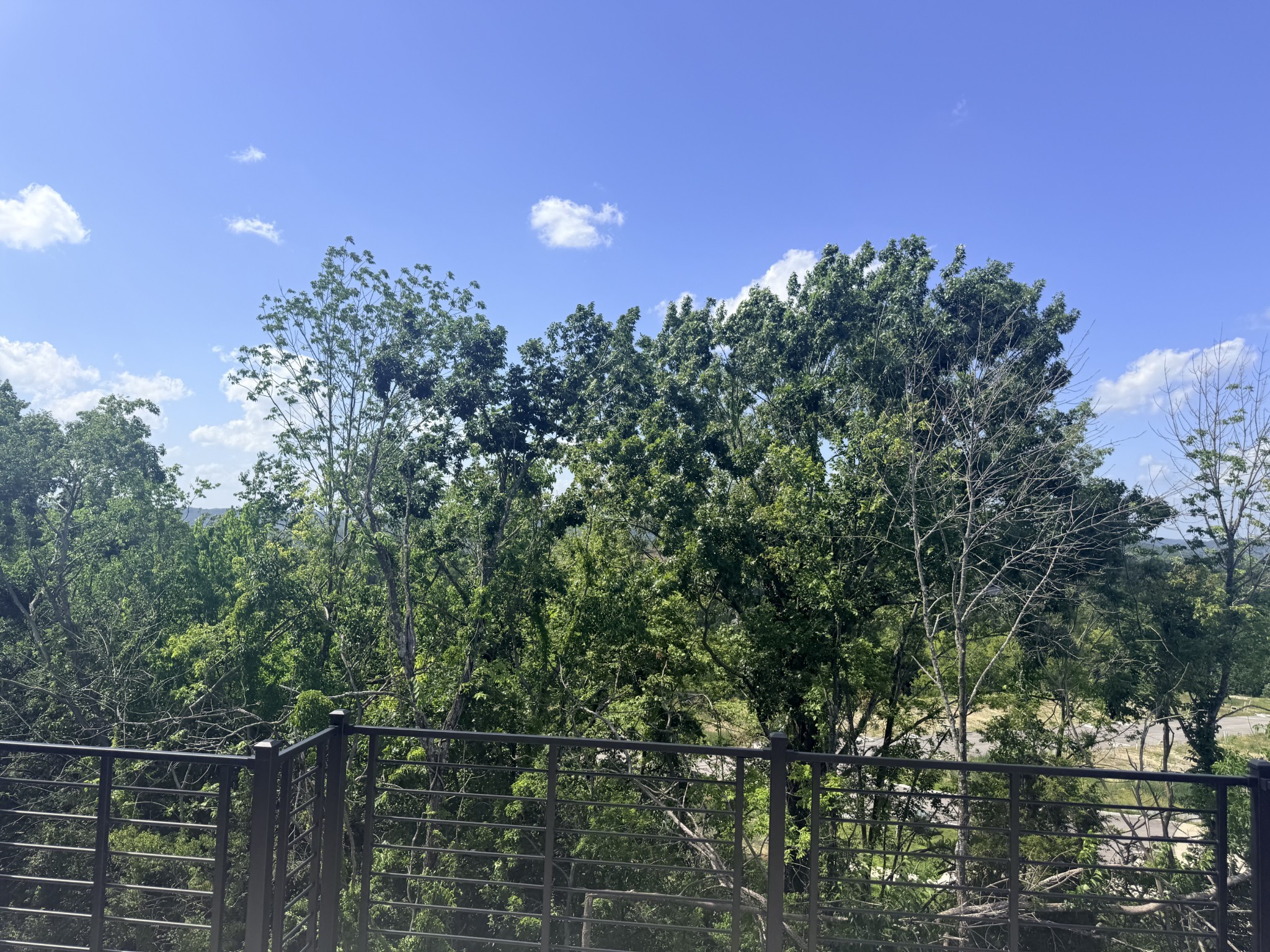 518 City Scape Property Photo 5