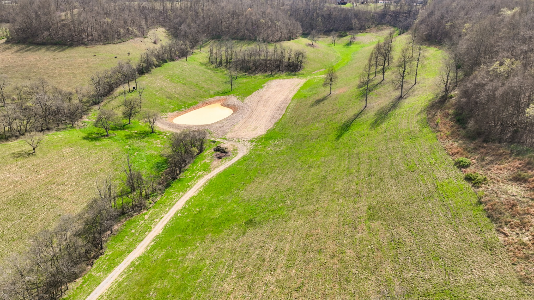 3201 Hwy 231 S Property Photo 80