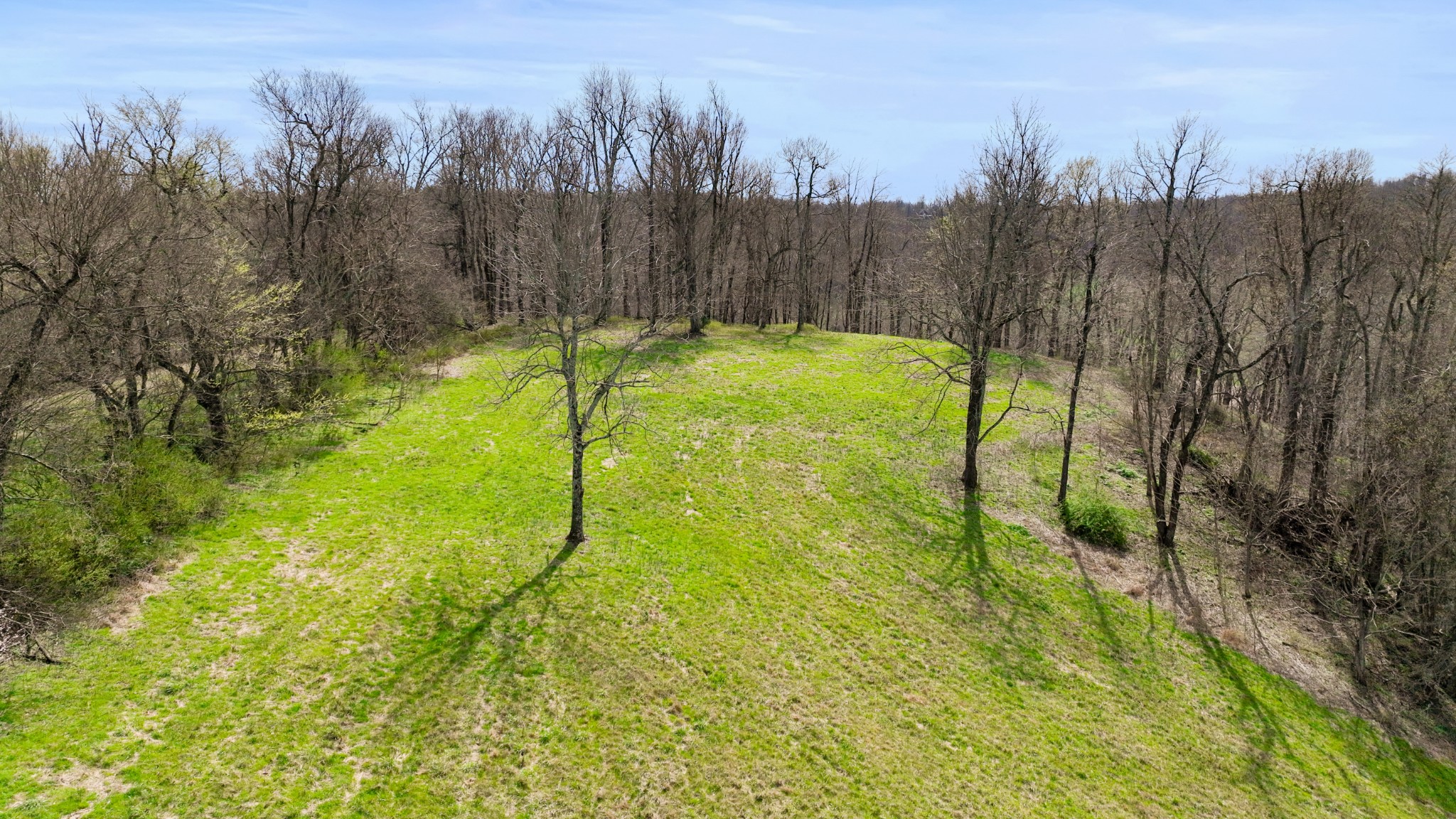 3201 Hwy 231 S Property Photo 83
