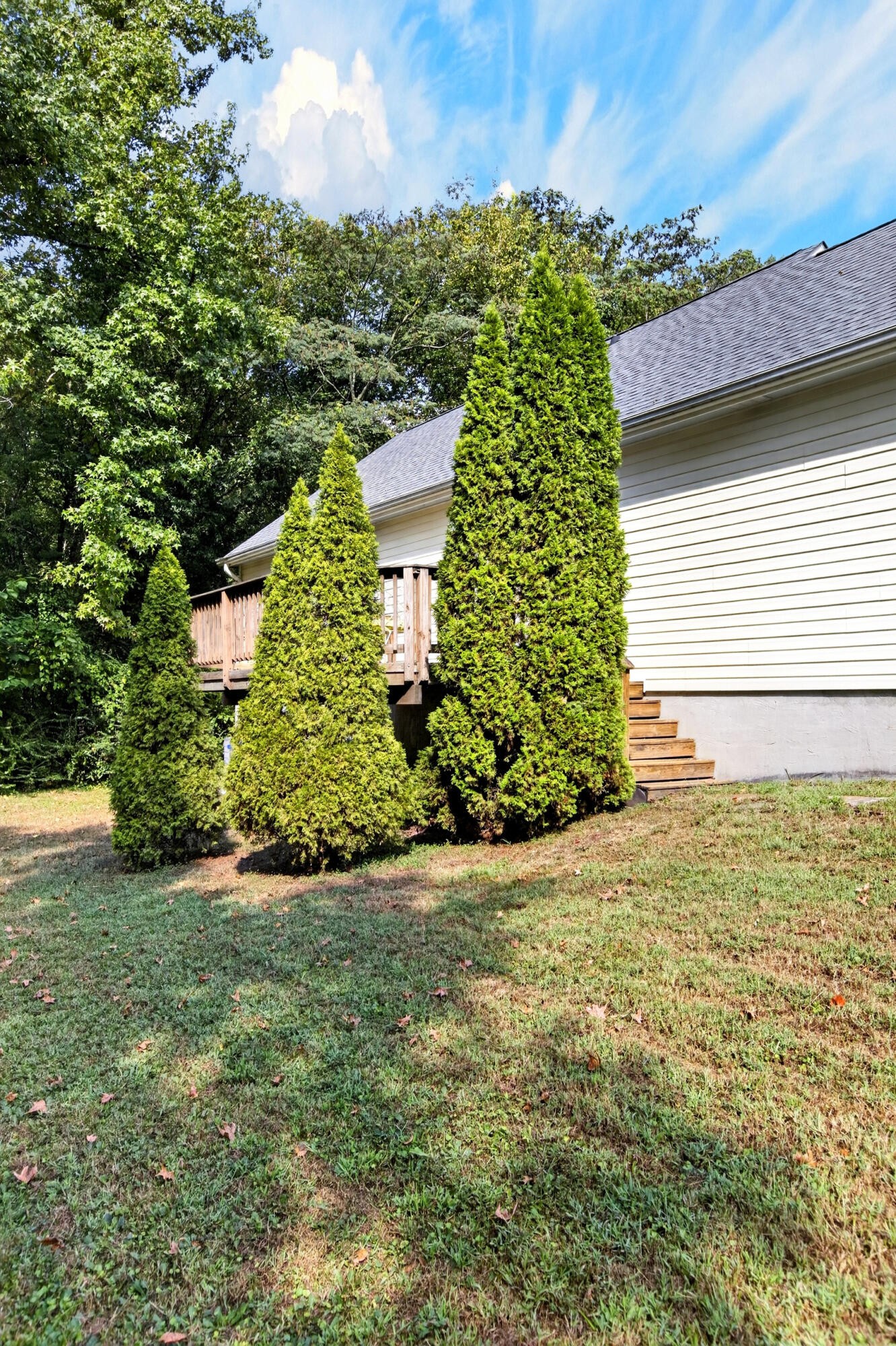 6233 Celtic Drive Property Photo 44