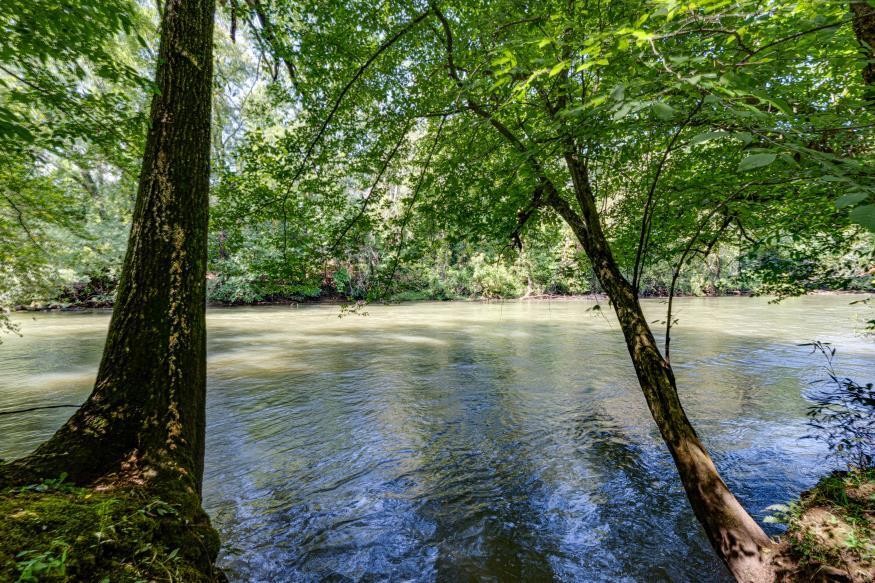 160 Tree Frog Lane Property Photo 3