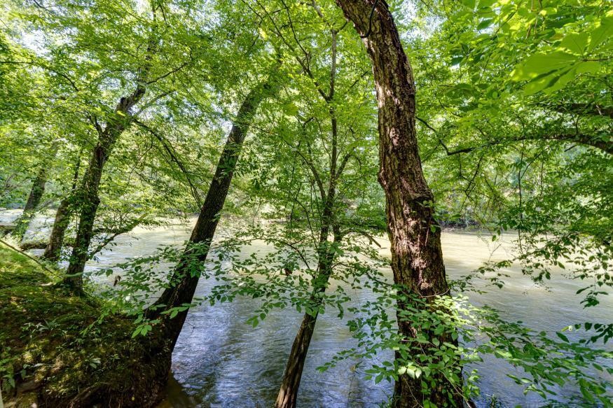 160 Tree Frog Lane Property Photo 4