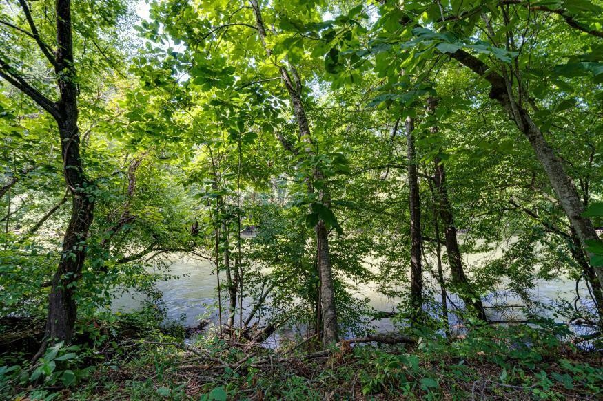 160 Tree Frog Lane Property Photo 5