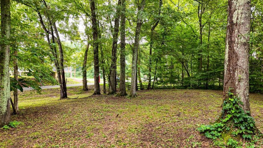 160 Tree Frog Lane Property Photo 7
