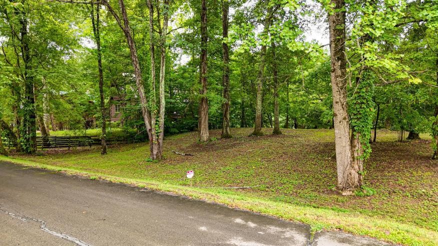 160 Tree Frog Lane Property Photo 14