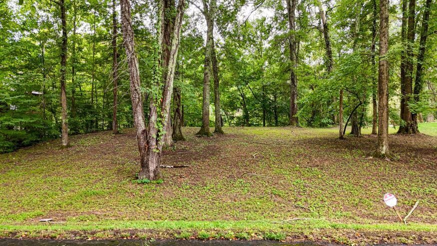 160 Tree Frog Lane Property Photo 16