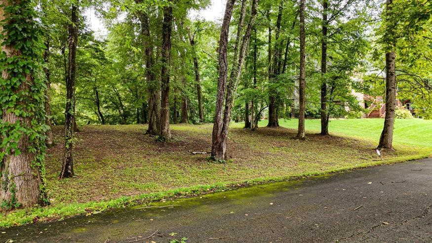 160 Tree Frog Lane Property Photo 17