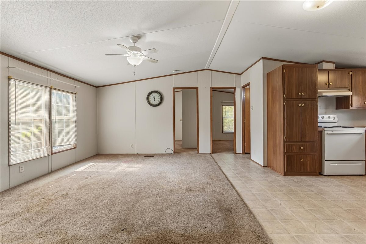 159 County Road 139 Property Photo 11